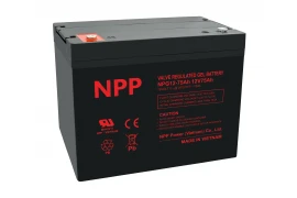 Gel battery NPG 12V 75Ah T14